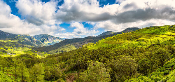 Beautiful panoramic view of the landscape at munnar valley, kerala, india