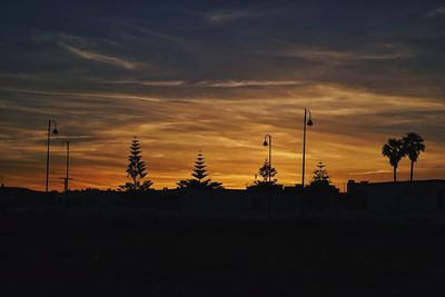 Silhouette palm trees against sky during sunset