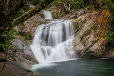 Scenic view of waterfall in forest