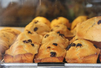 Close-up of cake