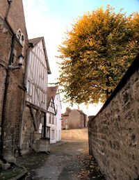 Narrow alley along buildings