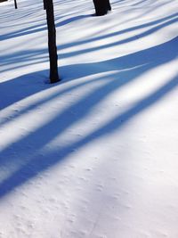 Close-up of shadow on ground
