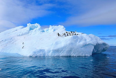 Scenic view of sea against sky during winter