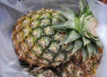 Close-up of pineapple