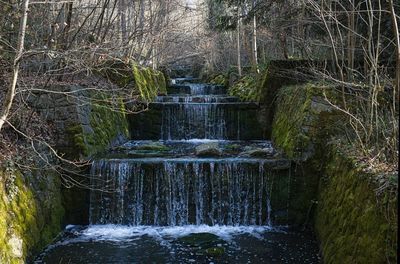 Scenic view of waterfall in forest