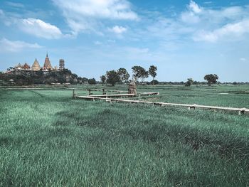 Scenic view of field against sky