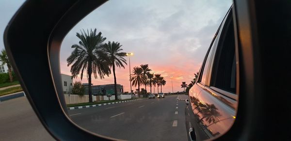 Panoramic view of palm trees seen through car windshield
