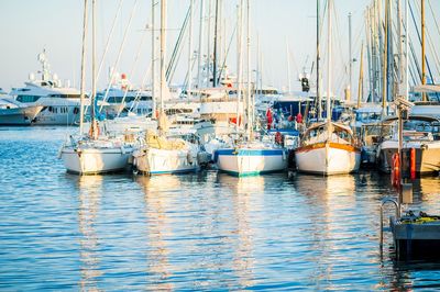 Sailboats moored at harbor