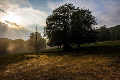 Scenic view of grassy field against sky