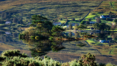 High angle view of trees and buildings