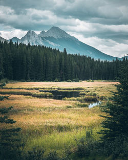 Scenic view of landscape against sky