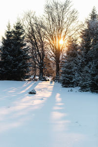 Trees on snow covered field against sky during sunset