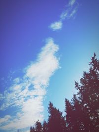Low angle view of trees against blue sky
