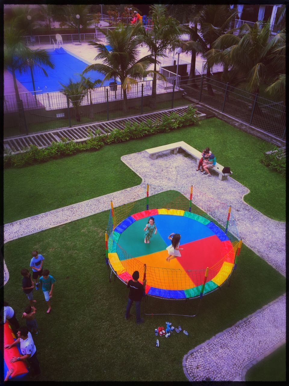 high angle view, palm tree, auto post production filter, sport, day, blue, geometric shape, court, outdoors, multi colored, green color, creativity