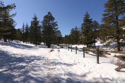 snow