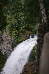 Scenic view of waterfall in forest