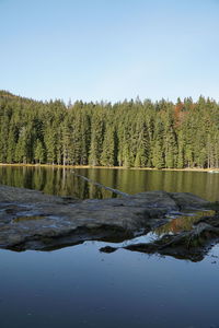 Scenic view of lake in forest against clear sky