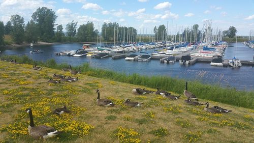 Boats moored in lake against sky