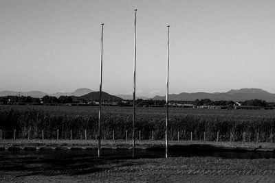 Scenic view of field against clear sky