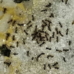 Full frame shot of water