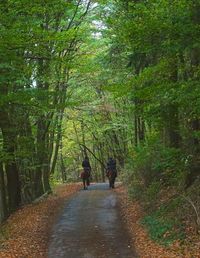 Rear view of women walking on footpath in forest