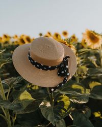 Rear view of woman wearing hat against trees