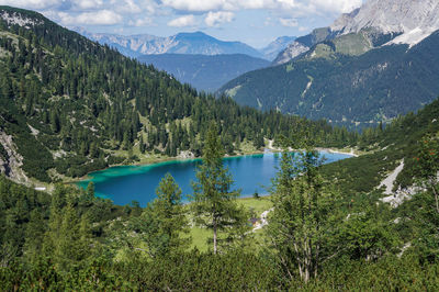 Scenic view of spruce / fir trees by seebensee lake against mountains