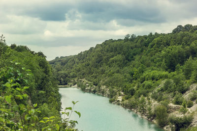 Scenic view of lake amidst trees growing in forest against cloudy sky