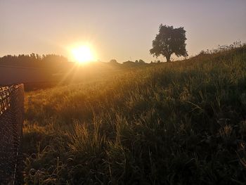 Scenic view of field against sky during sunset