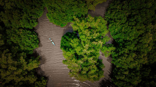 High angle view of road amidst trees