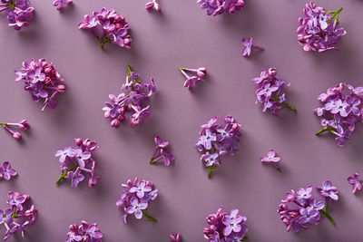 Close-up of christmas decorations