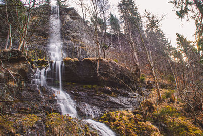 Scenic view of waterfall in forest