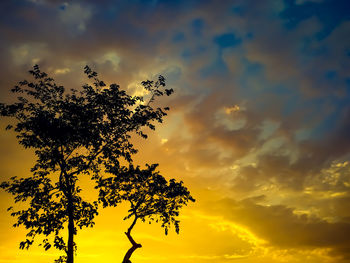 Low angle view of silhouette tree against orange sky