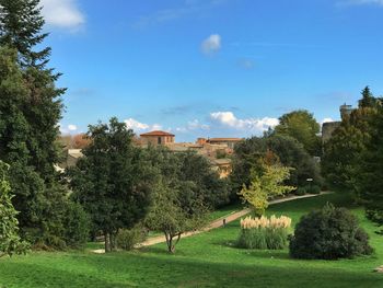 Trees and houses against sky