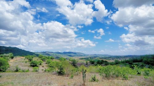 Scenic view of field against sky