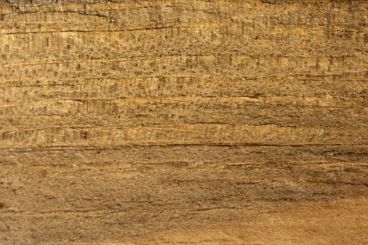 CLOSE-UP OF WOODEN PLANK