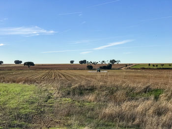 Hay bales on field against sky