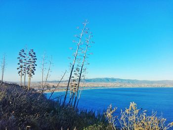 Scenic view of sea against clear blue sky