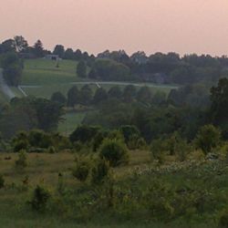 Scenic view of agricultural landscape against sky