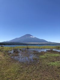 Scenic view of field against clear blue sky