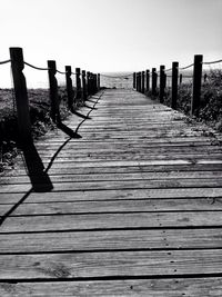 Surface level of wooden pathway along trees