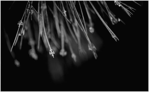 Close-up of water