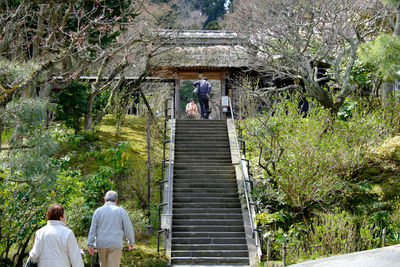 Rear view of woman standing on steps