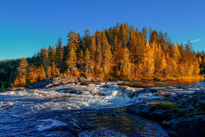 Scenic view of waterfall in forest against clear blue sky