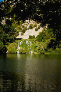 Scenic view of lake in forest