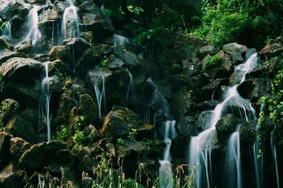 Scenic view of waterfall in forest