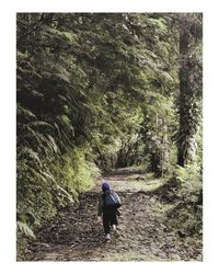 Rear view of man walking in forest