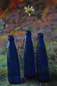 Three blue glass bottles , one contains a single daisy, on painted paper. surface