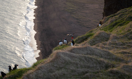 High angle view of people on rock