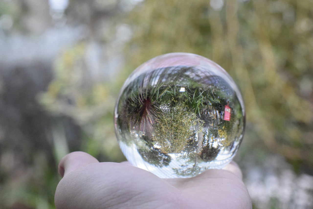 CLOSE-UP OF PERSON HOLDING GLASS WITH REFLECTION OF CRYSTAL BALL